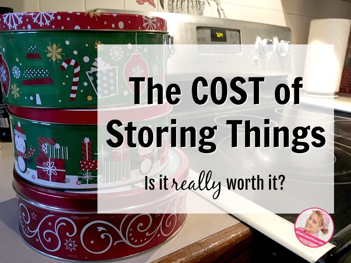 Is the cost of storing things really worth it at ASlobComesClean.com